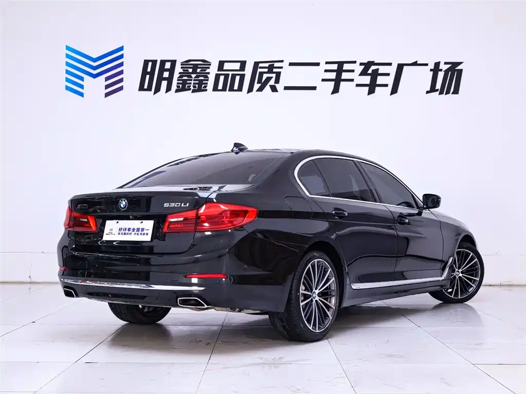 BMW 5 Series 2020 530Li Executive Luxury Package