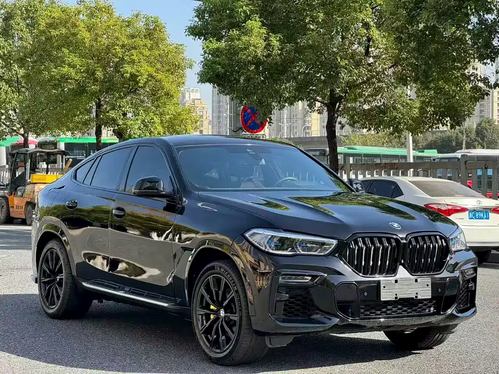 BMW X6 2020 xDrive40i M Sport Package