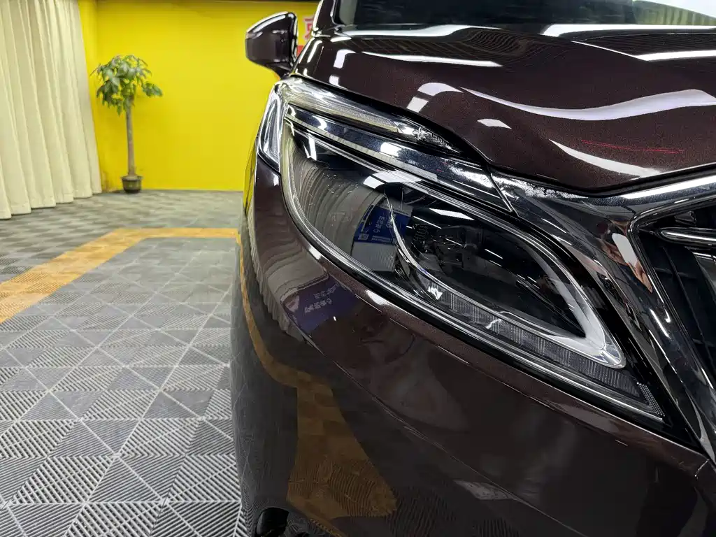 Buick GL8 2017 ES 28T Luxury Edition National V