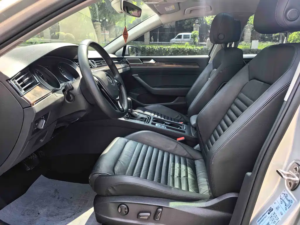 Magotan 2019 330TSI DSG Luxury Edition National V