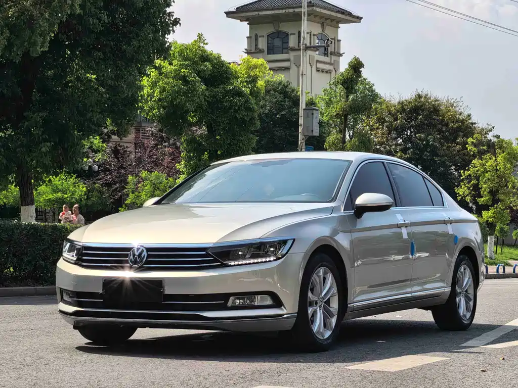 Magotan 2019 330TSI DSG Luxury Edition National V