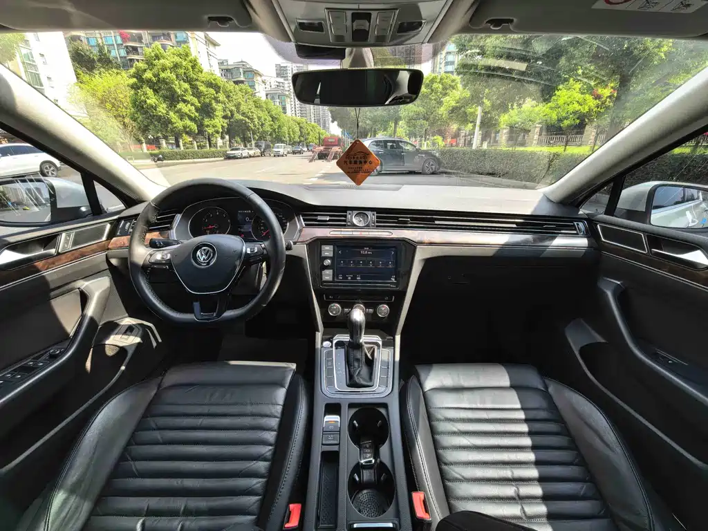 Magotan 2019 330TSI DSG Luxury Edition National V