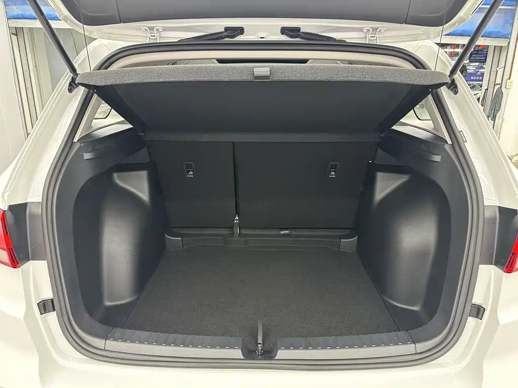 Volkswagen VS7 2023 280TSI DSG Joy Edition
