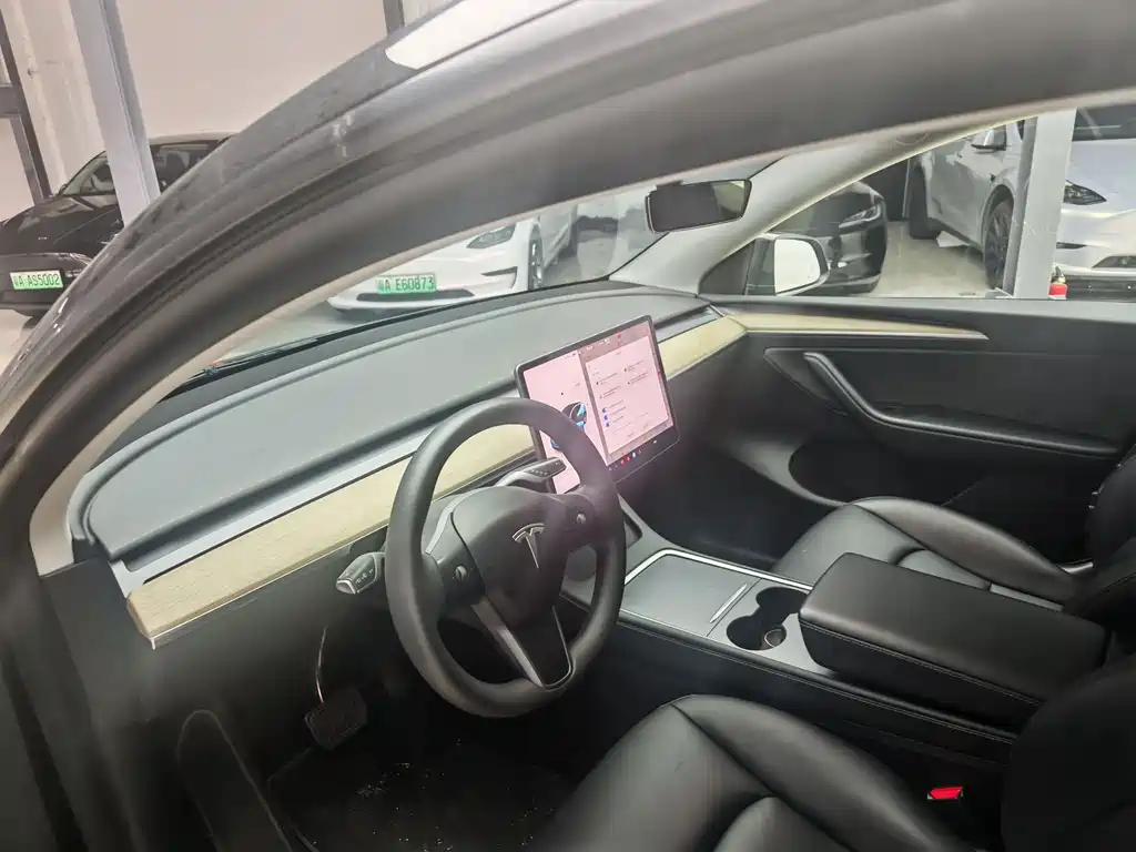 Model Y 2022 Rear-Wheel Drive Edition
