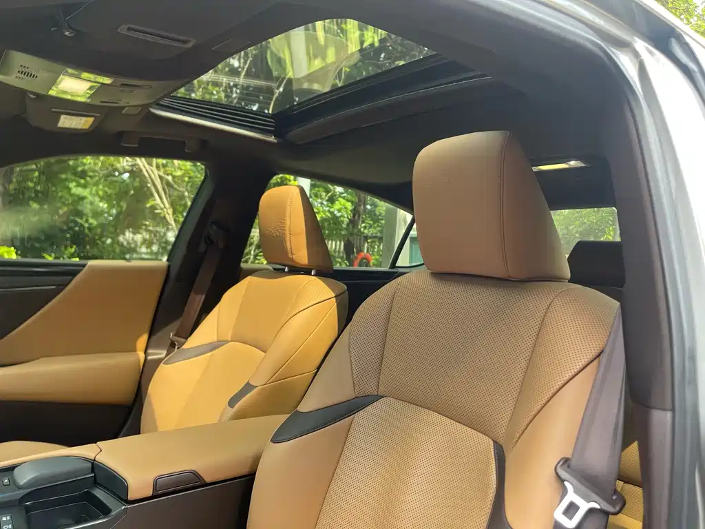 Lexus ES 2018 300h Excellence Edition National V
