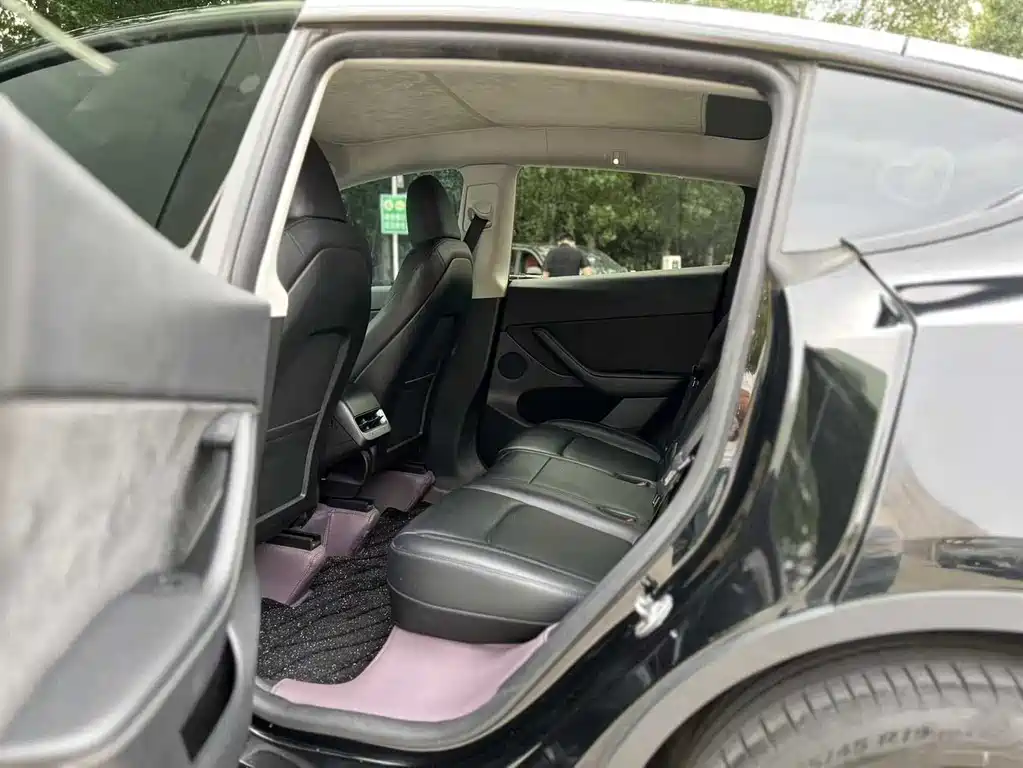 Model Y 2023 Rear-Wheel Drive Edition