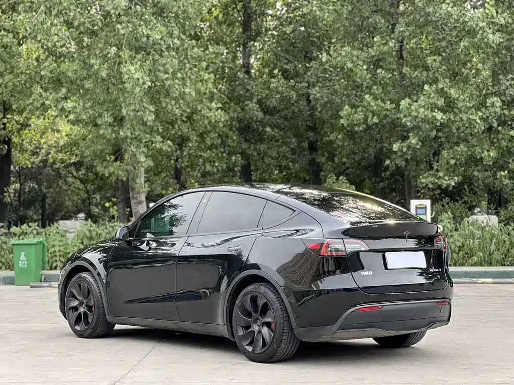 Model Y 2023 Rear-Wheel Drive Edition