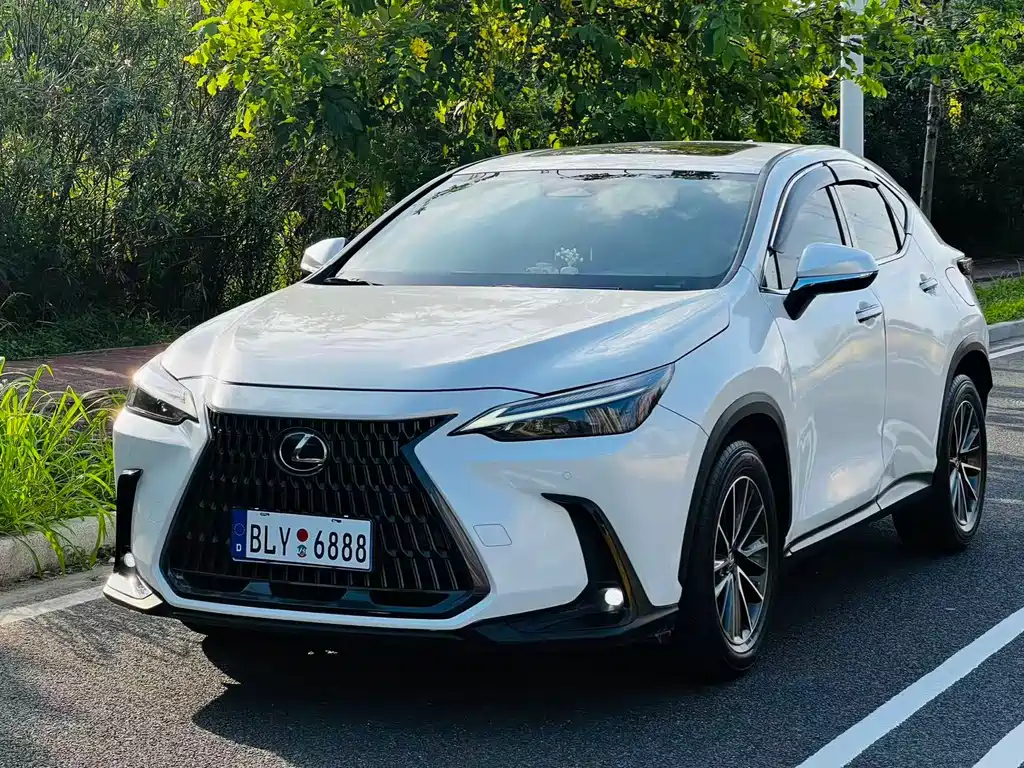 Lexus NX 2024 260 FWD Chuangyue Edition