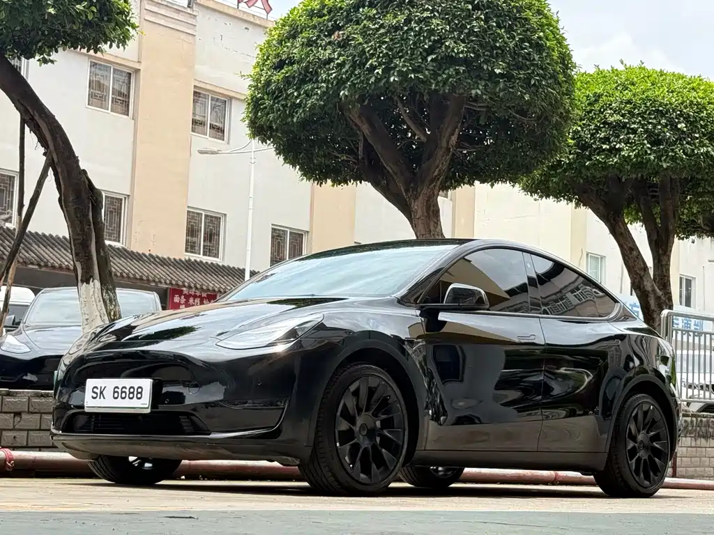 Model Y 2022 Long Range All-Wheel Drive Edition
