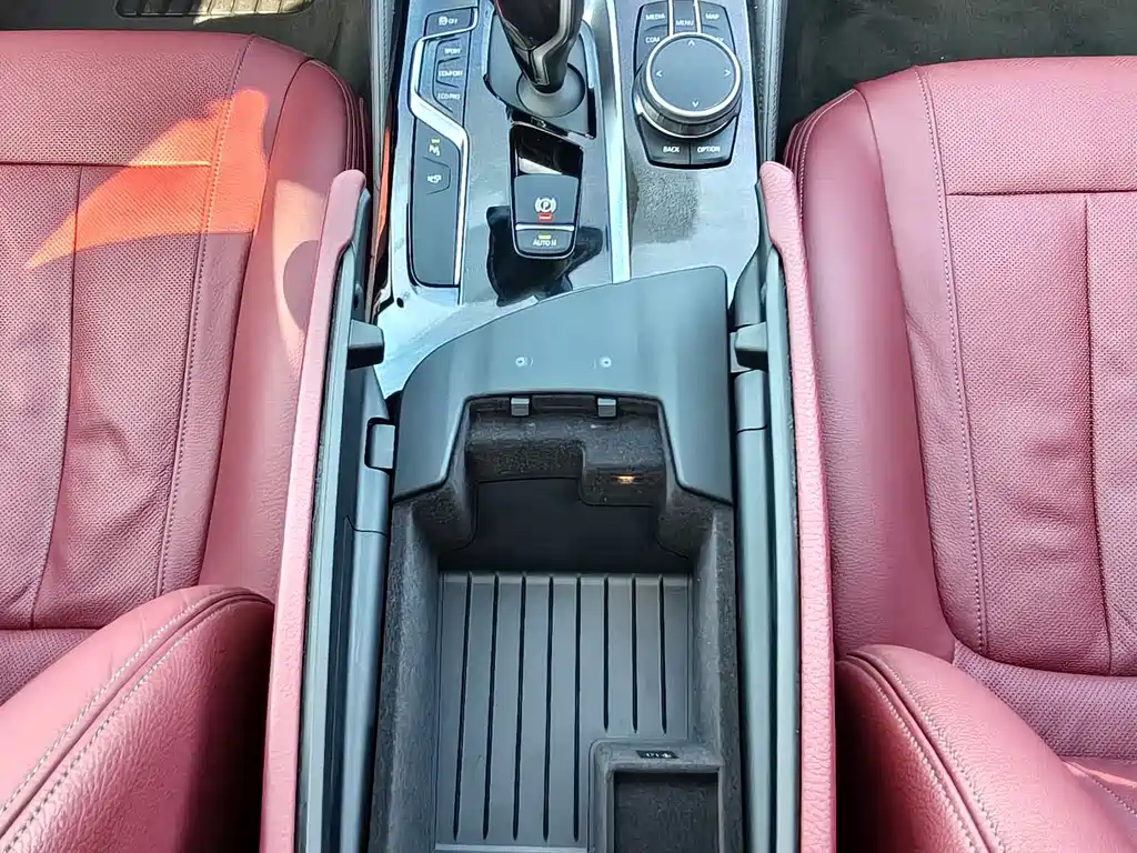 BMW 5 Series 2020 530Li Grandeur Edition M Sport Package