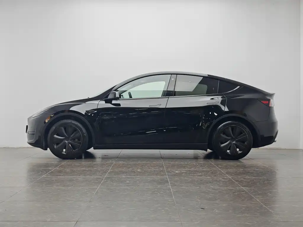 Model Y 2022 Rear-Wheel Drive Edition