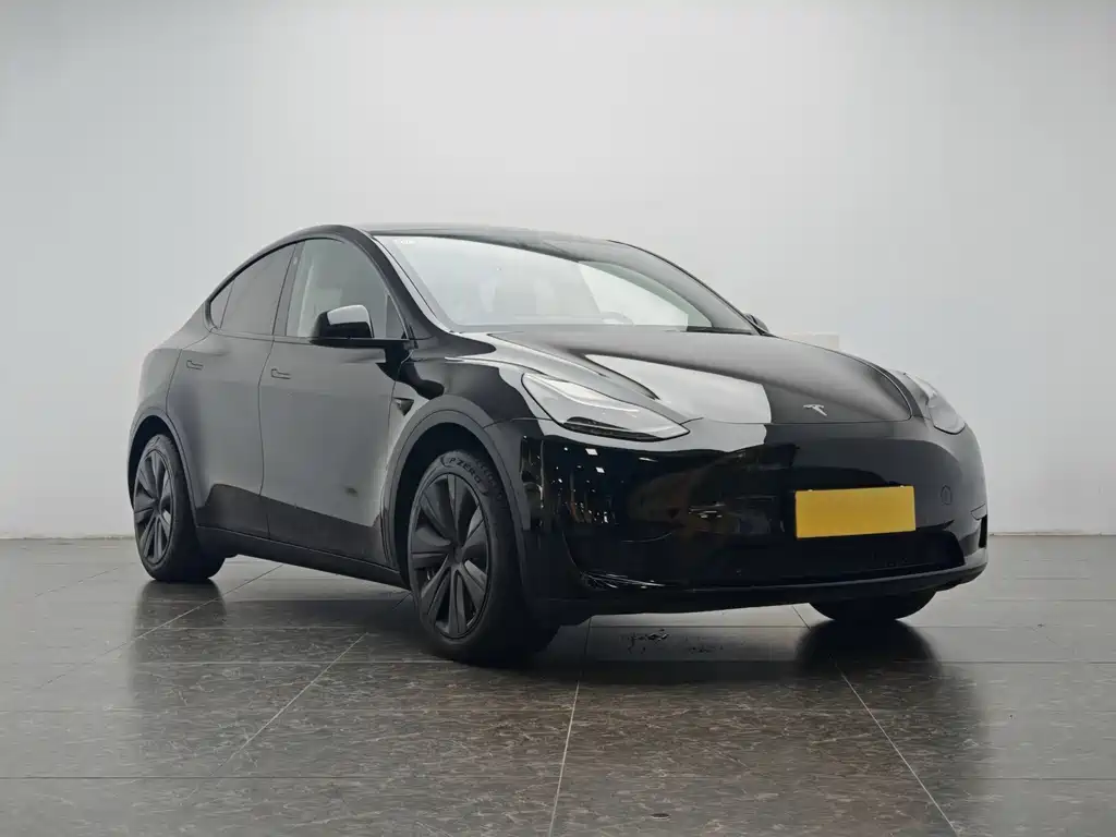Model Y 2022 Rear-Wheel Drive Edition