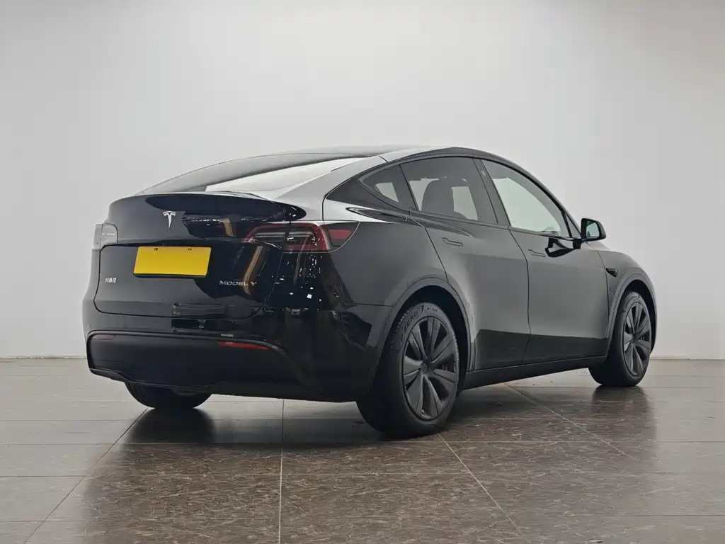 Model Y 2022 Rear-Wheel Drive Edition
