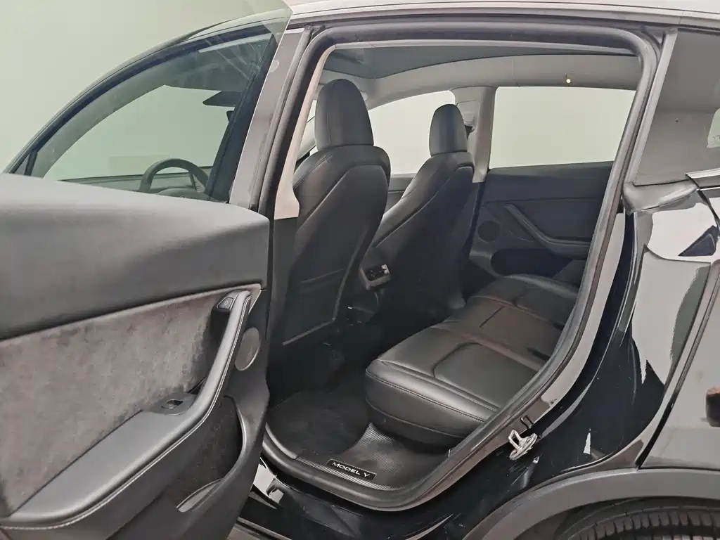 Model Y 2022 Rear-Wheel Drive Edition
