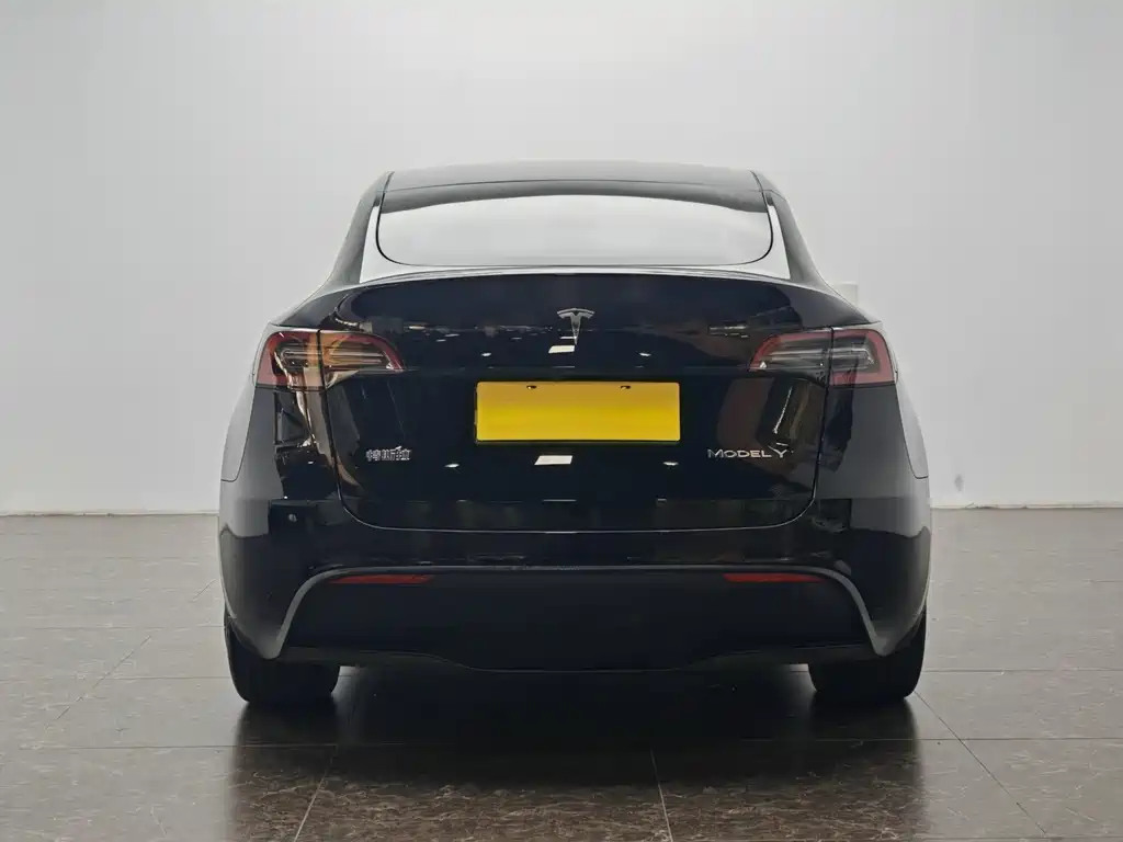 Model Y 2022 Rear-Wheel Drive Edition