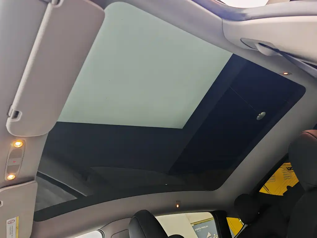 Model Y 2022 Rear-Wheel Drive Edition