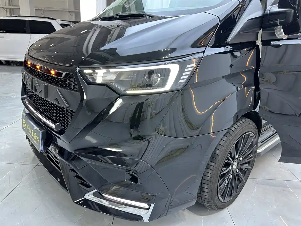 Watson Ford Black Knight 2022 Model 2.0T Peak Edition