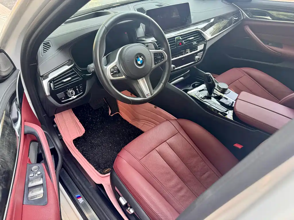 BMW 5 Series 2020 530Li Luxury Edition M Sport Package