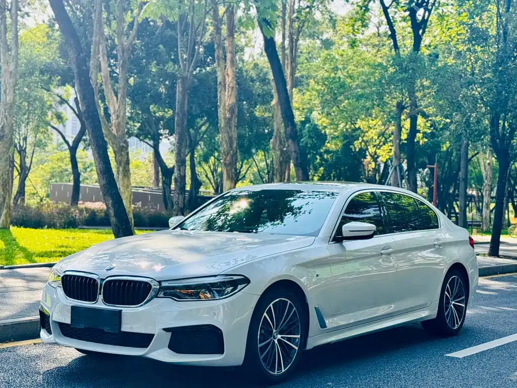 BMW 5 Series 2020 530Li Luxury Edition M Sport Package