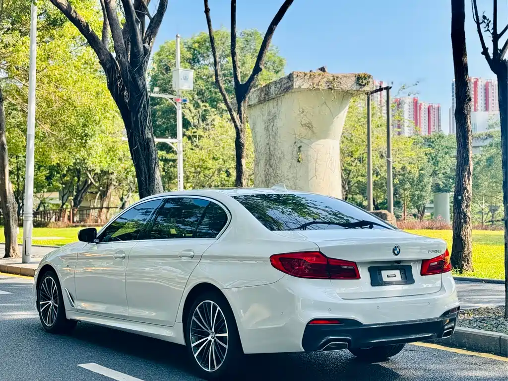 BMW 5 Series 2020 530Li Luxury Edition M Sport Package