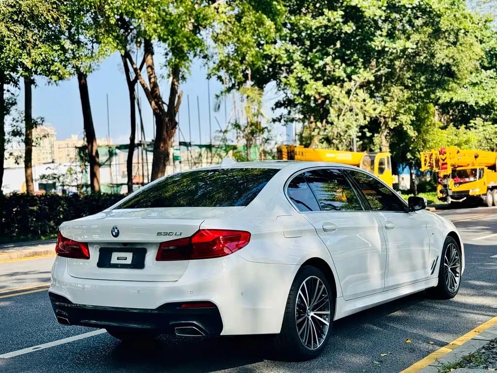 BMW 5 Series 2020 530Li Luxury Edition M Sport Package