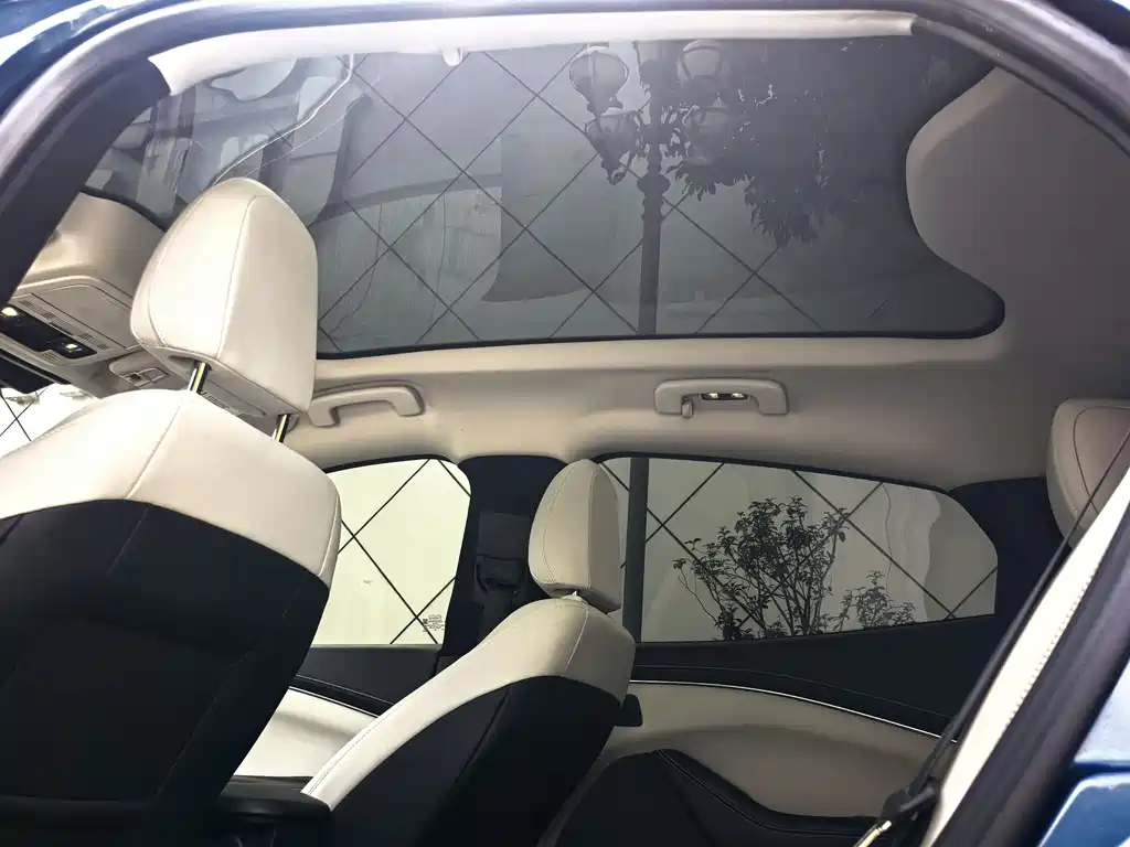 Ford Mustang 2021 Long Range Luxury Edition Rear Drive