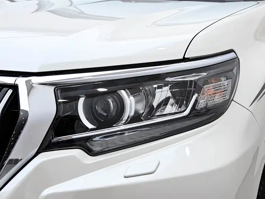 Prado 2019 3.5L Automatic TX-L Prestige Edition Rear Spare Tire