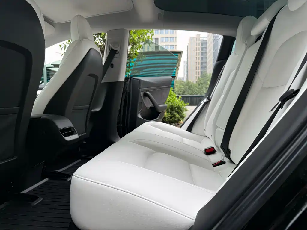 Model 3 Standard Range Rear-Wheel Drive Plus 2021
