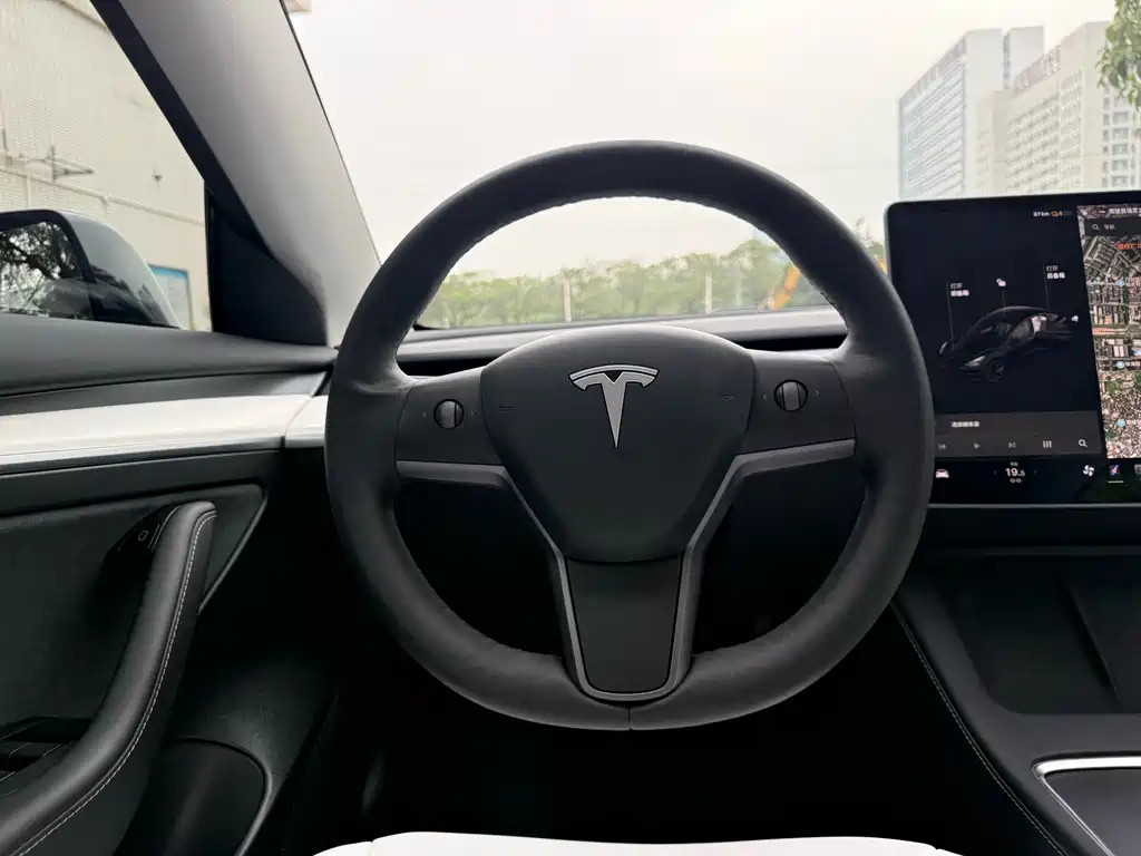 Model 3 Standard Range Rear-Wheel Drive Plus 2021