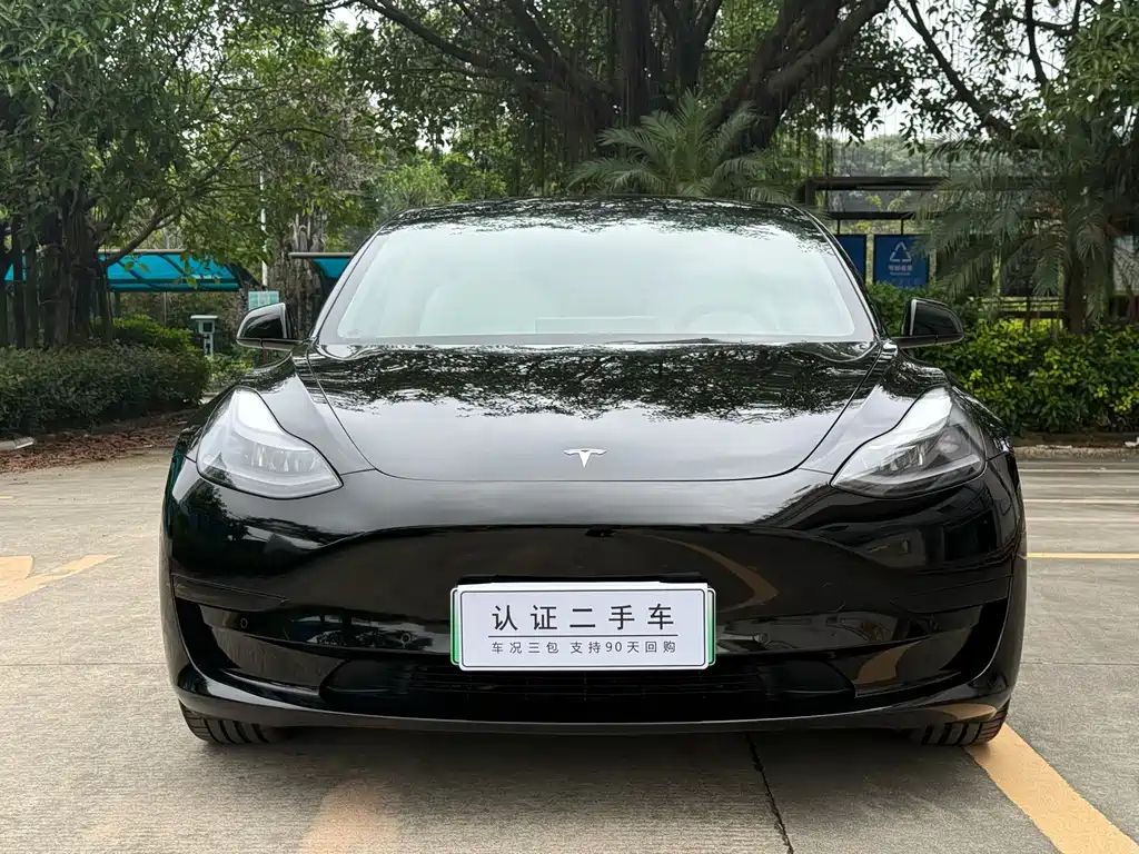 Model 3 Standard Range Rear-Wheel Drive Plus 2021