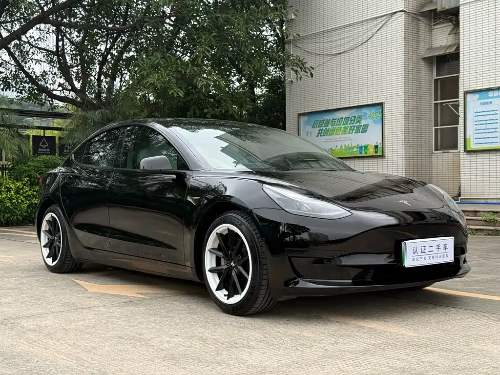 Model 3 Standard Range Rear-Wheel Drive Plus 2021