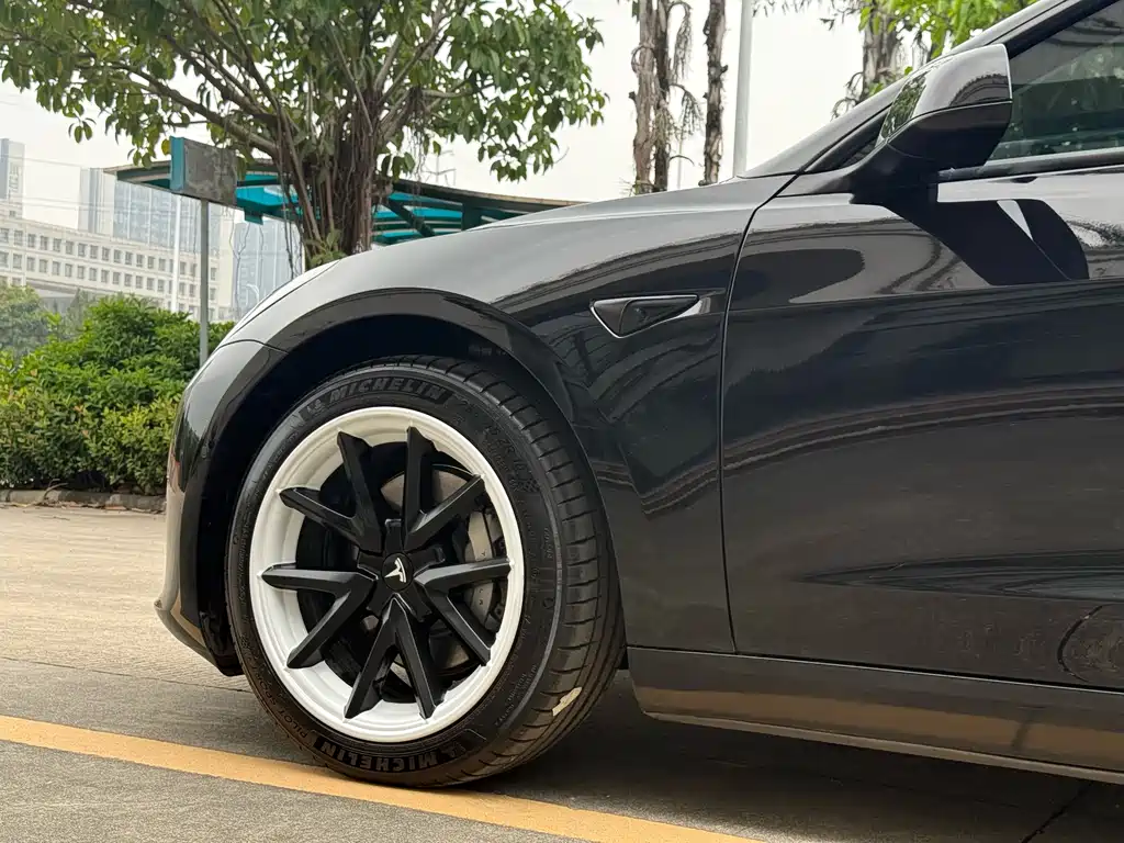 Model 3 Standard Range Rear-Wheel Drive Plus 2021