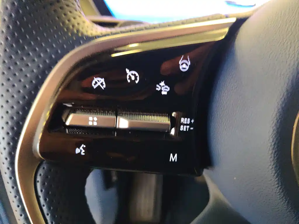 2025 Century 2.0T Six-Seater Yunshe Edition