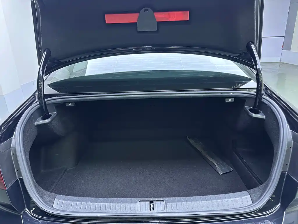 Magotan 2020 330TSI DSG Leading Edition