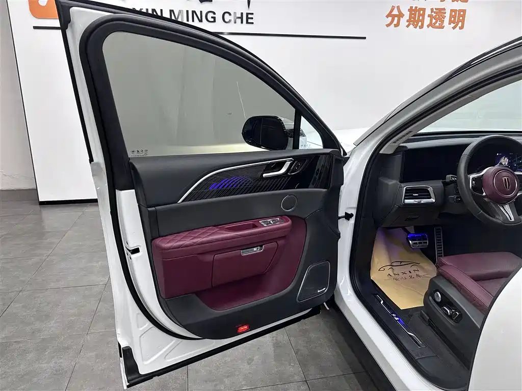 红旗E-HS9 2022 Flag Enjoy Edition 6-seat