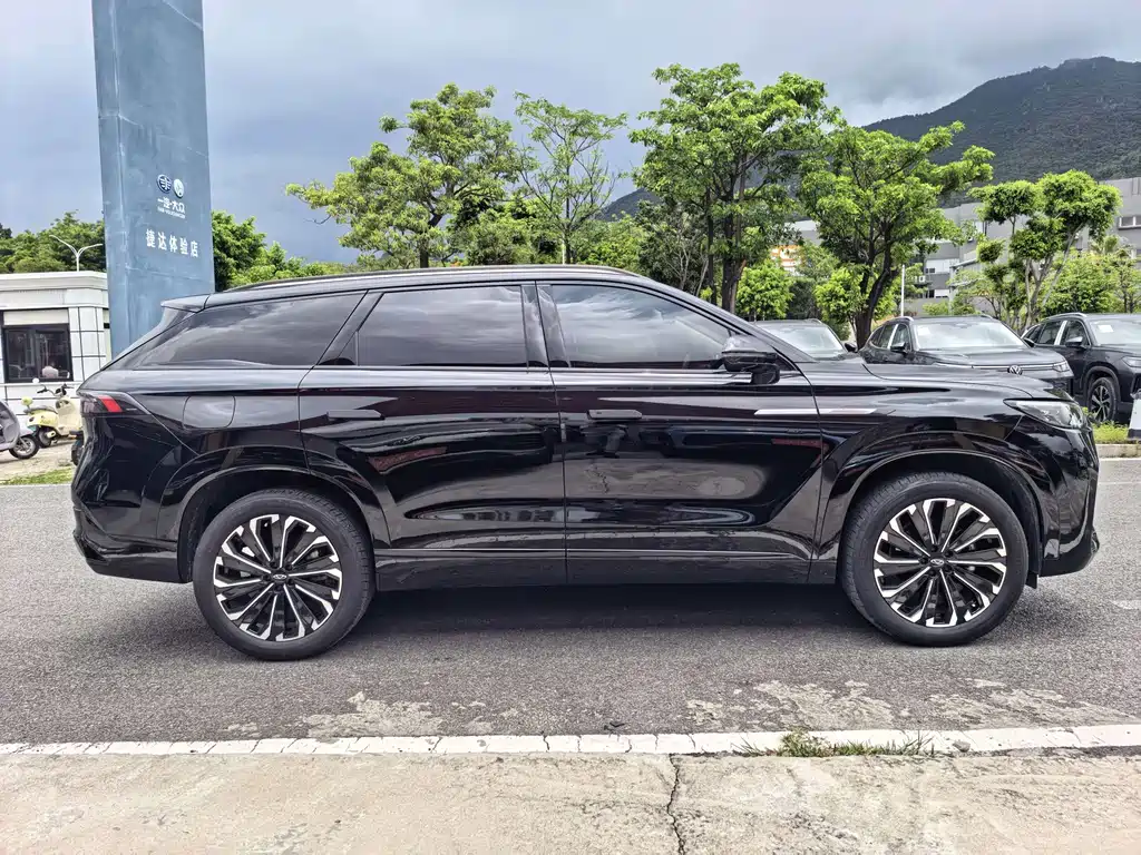 Ruihu 9 2023 Edition 2.0T Dual Clutch 2WD Luxury Version 5-seat