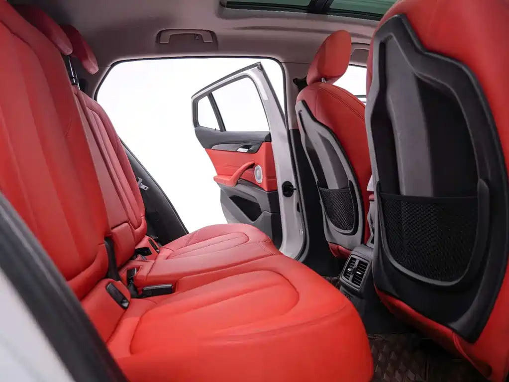 BMW X2 2021 sDrive20i M Offroad Package