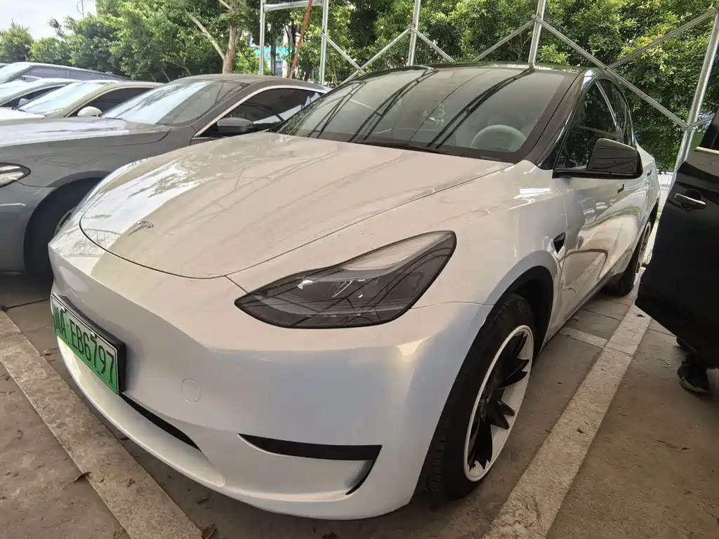 Model Y 2022 Rear-Wheel Drive Edition