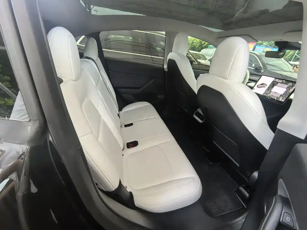 Model Y 2022 Rear-Wheel Drive Edition