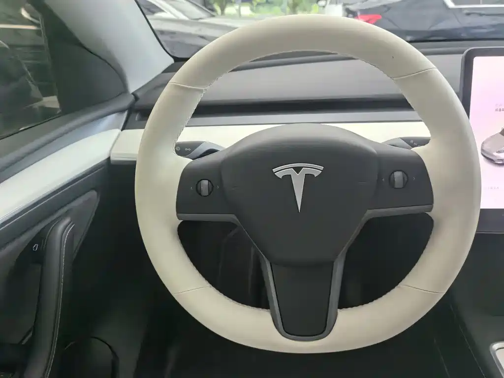 Model Y 2022 Rear-Wheel Drive Edition