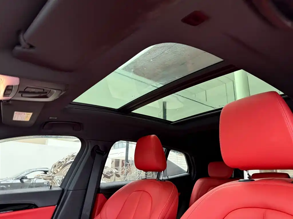 BMW X2 2020 sDrive25i Leading Edition M Sport Package