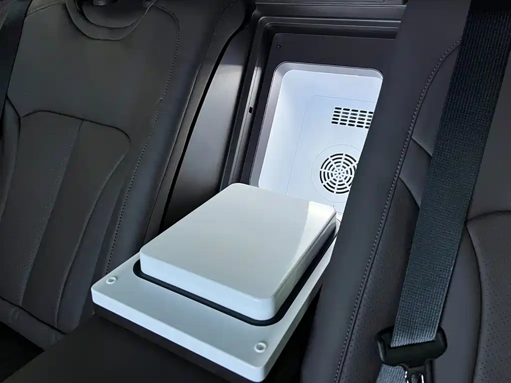 Tengri Z9 2024 Model 1100km All-Wheel Drive Max Edition