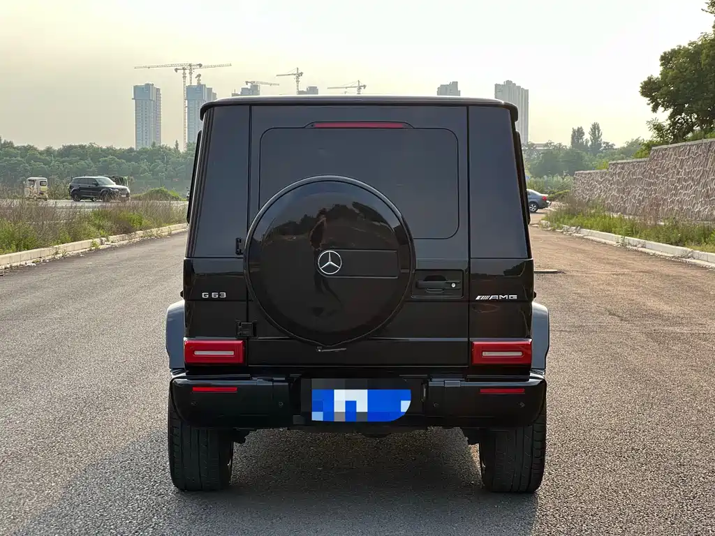 Mercedes-Benz G-Class 2010 G 500