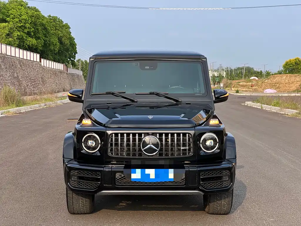 Mercedes-Benz G-Class 2010 G 500