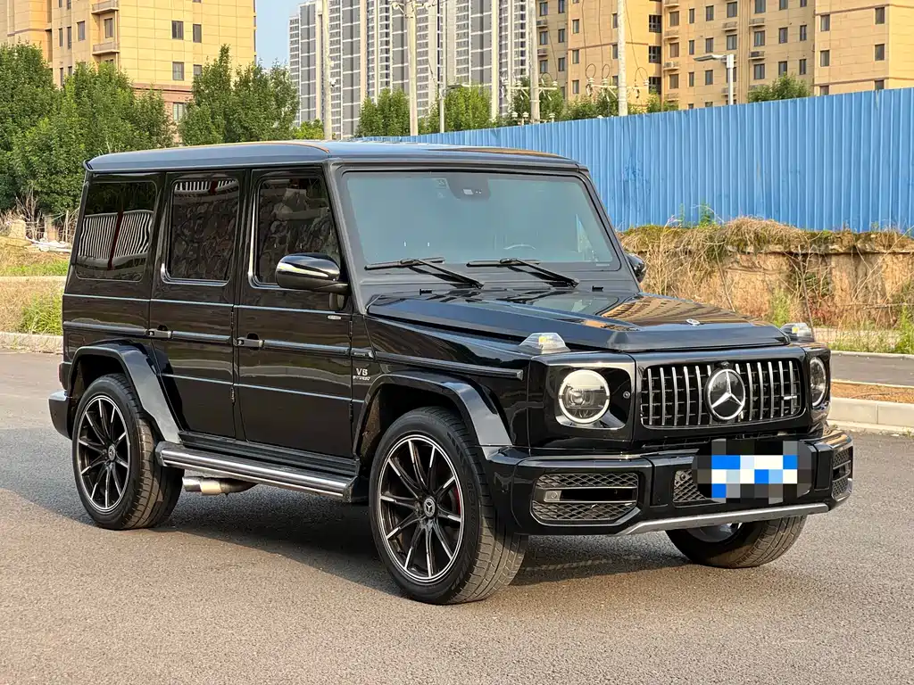 Mercedes-Benz G-Class 2010 G 500