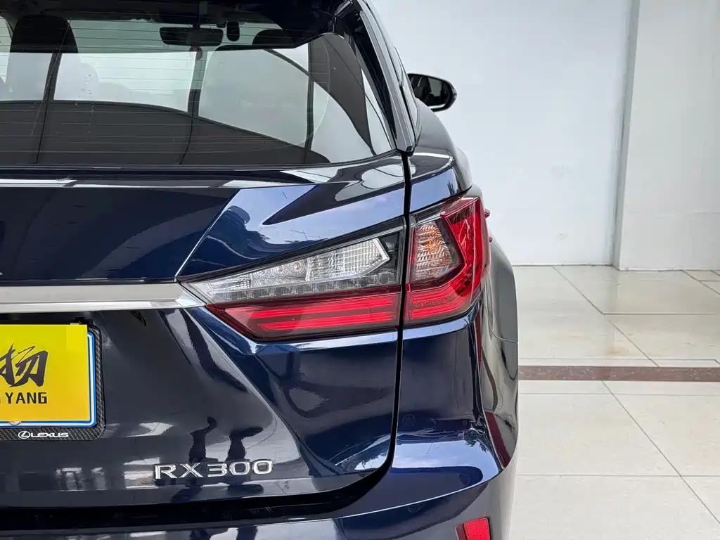 Lexus RX 2016 300 Two-wheel-drive Comfort Edition National V