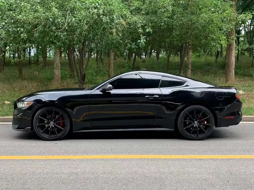 Mustang 2017 2.3T Performance Edition