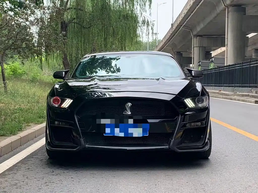 Mustang 2017 2.3T Performance Edition
