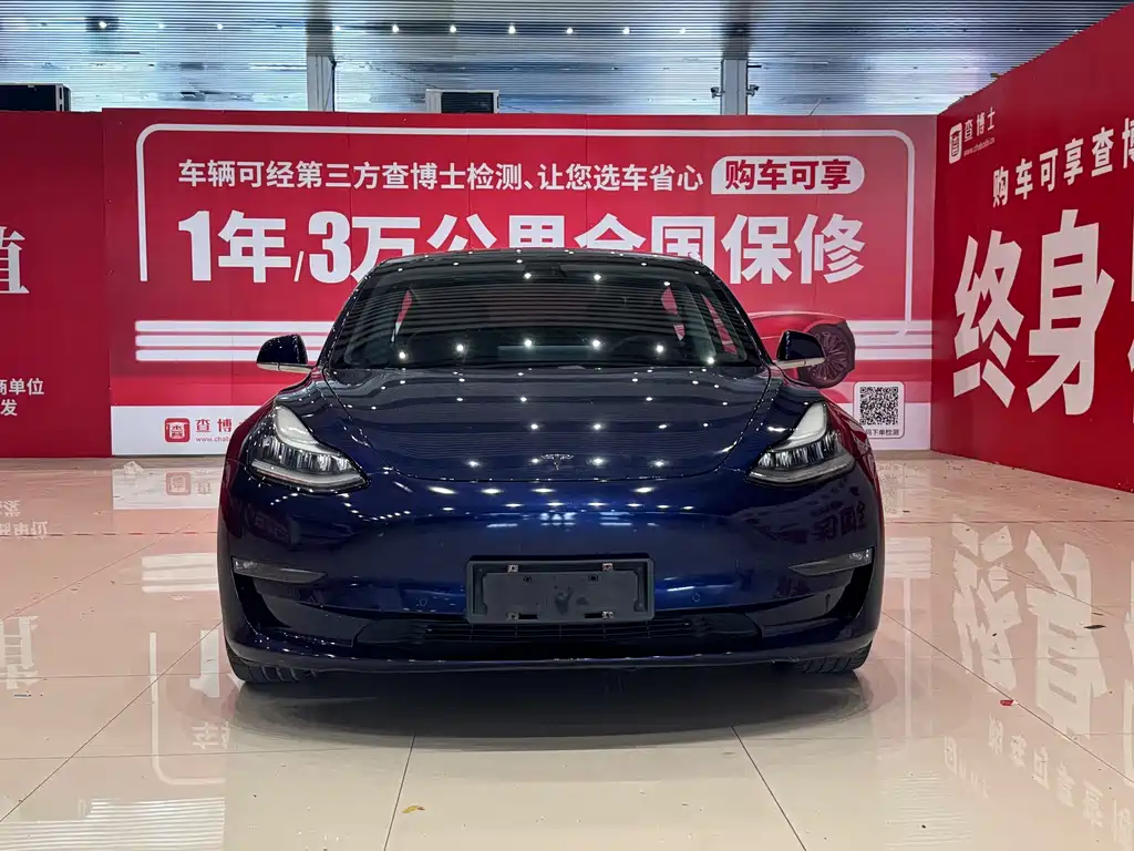 Model 3 Long Range Rear-Wheel Drive 2019 Import Edition