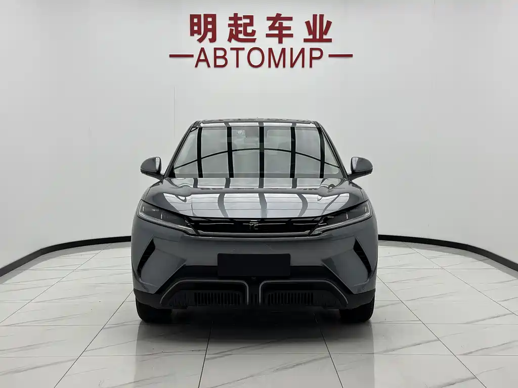Yuan UP 2024 Model 401KM Vitality Edition